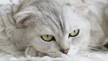 云浮伴游,定制QQ:3494206190微信:act1322